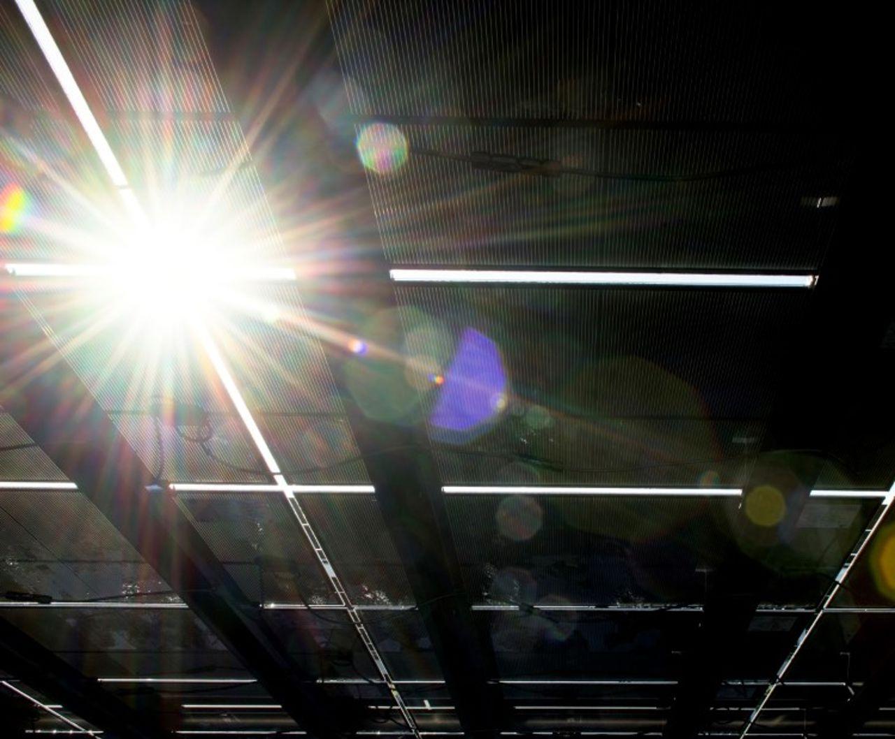 Solar panels from underneath